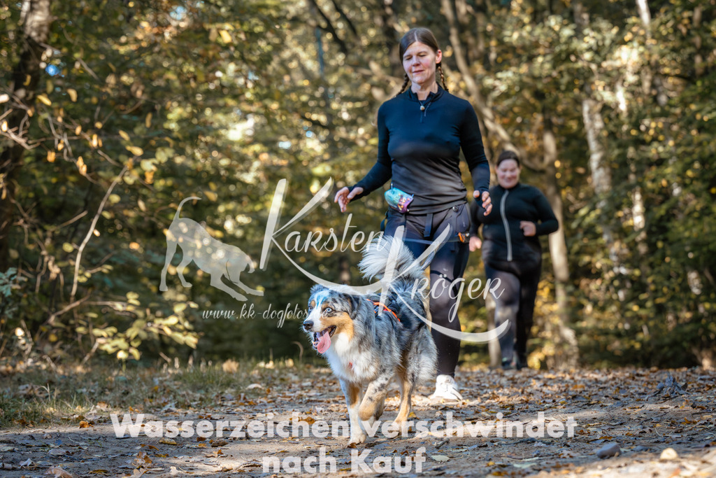 1118_ZZ91962 | kk-dogfotos