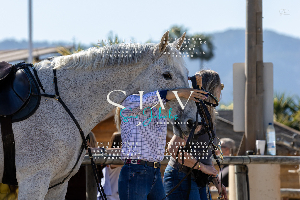 IMG_0921 | s-jay-photography - Realisiert mit Pictrs.com