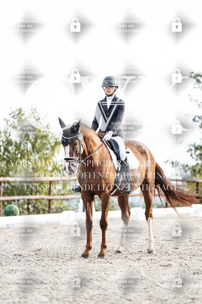 CK900600 | Turnierfotografie Pferdefotografie Trier Rheinland-Pfalz Pferdesport Reitsport Tierfotografie Sportfotografie Pferdevideo Pferdevideografie Equestrianvideography equestrianphotography  - Realisiert mit Pictrs.com