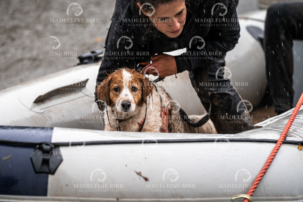 madeleinebirr-fotografie2025.campcanis.11-12Uhr-261 | hundefotografie-birr