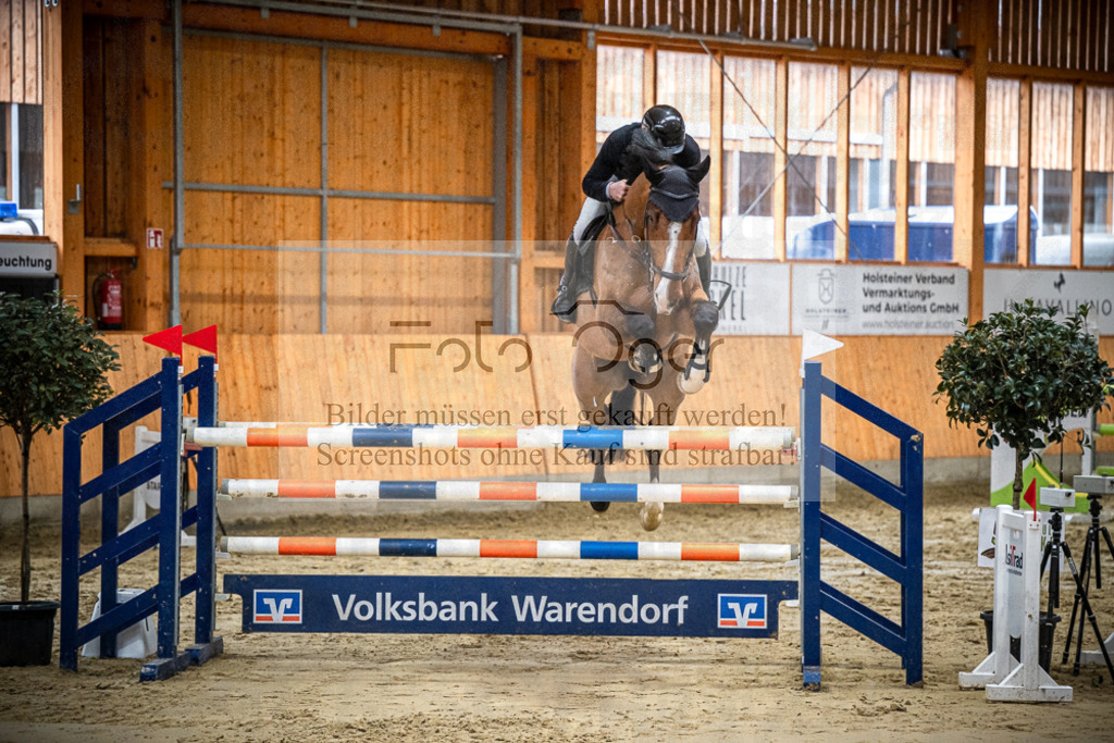 DOS_0629 | Entdecke hochwertige Reitturnierfotos von Foto Oger. Professionell, emotional und authentisch – jetzt Lieblingsmomente im Shop bestellen.Deutschlandweite Turnierfotografie. - Realisiert mit Pictrs.com