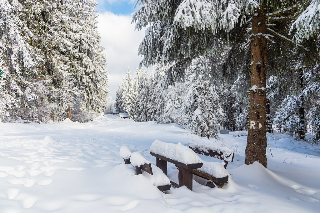 Landschaft im Winter im Thüringer Wald in der Nähe von Schmiedefeld am Rennsteig | Landschaft im Winter im Thüringer Wald in der Nähe von Schmiedefeld am Rennsteig.