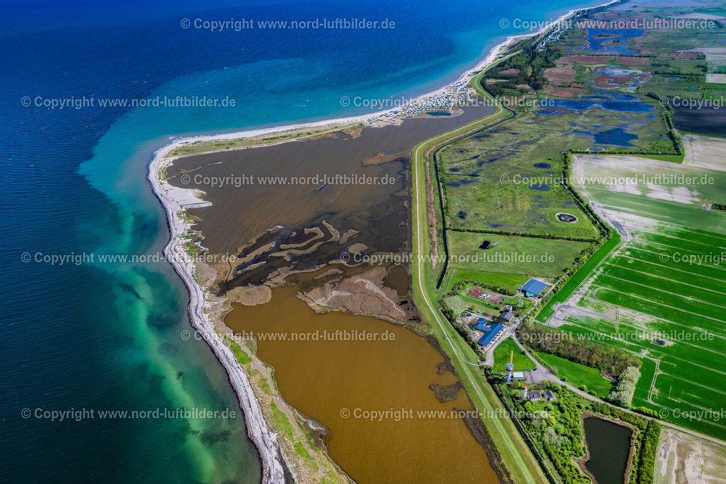 Fehmarn_Westermarkelsdorf_Naturschutzgebiet_Nördicher_Huk_ELS_5746010524 | FEHMARN 01.05.2024 Meer Becken " Naturschutzgebiet Nördlicher Huk " Westermarkelsdorf in Fehmarn im Bundesland Schleswig-Holstein, Deutschland. // Sea basin "Northern Huk Nature Reserve" Westermarkelsdorf in Fehmarn in the state Schleswig-Holstein, Germany. Foto: Martin Elsen