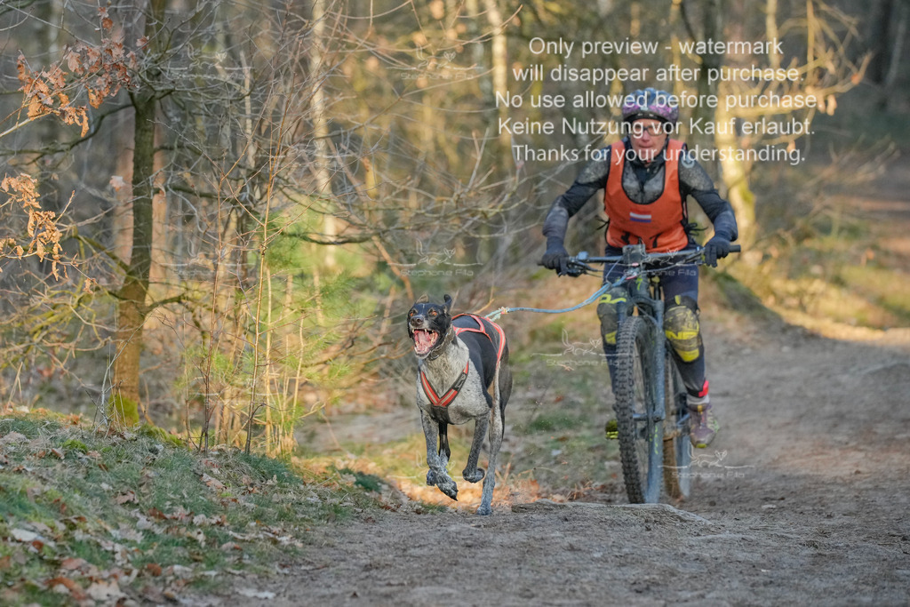 Sa_Bike-259 | stephaniefillaphotographie - Realisiert mit Pictrs.com