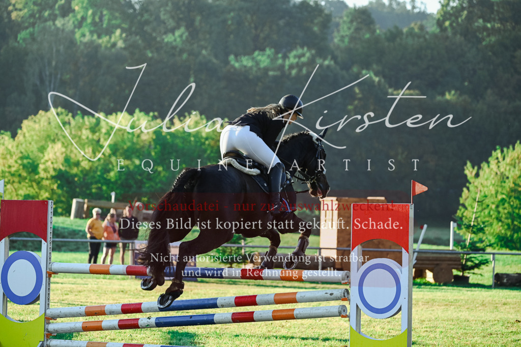 DSC_3877 | Pferde- und Turnierfotografie in Westsachsen. Pferdeportraits, Auftragszeichnungen und intuitive Kunst.