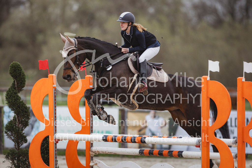 240330_Fruehlingsfest_Stil-A2-1-644 | Deine schönsten Turniermomente als professionelle Fotos! Entdecke hochwertige Pferdesport-Fotografie im Online-Shop. Jetzt Fotos finden & bestellen!
