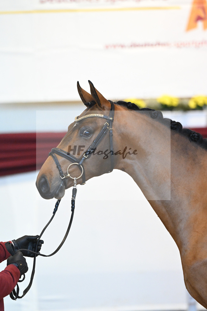 Kat-Nr. 62 v. Asti Spumante_Muehlbauer_66221393 | hf-fotografie - Realisiert mit Pictrs.com
