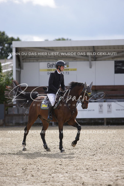 1J2A2351Philipp Battermann-Voss_ Claus 83_ Kn237_ Havekost | Foto- und Videografie für alles rund ums Pferd. Hochwertige Bilder und Videos vom Spring- und Dressurreiten, Voltigieren & mehr. Jetzt aktuelle Veranstaltungen und Preise im Shop ansehen. - Realisiert mit Pictrs.com