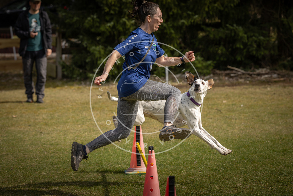 Pfotenfotografie_DV3A9517 | Hundefotografie, Tierfotograf, Pfotenfotografie, Fotoshooting Hund, Hunde Portrait, Hundesport, Hundeportraits, Heideshooting, Hunde, Sportfotograf, Hundefotograf, Turnierhundsport, THS,  - Realisiert mit Pictrs.com