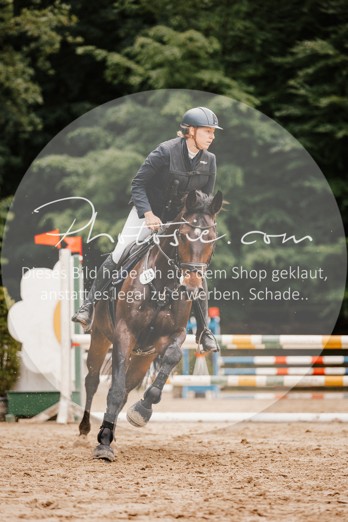 3I6A2447 | Stimmungsvolle Portraits und Reitsportfotografie im Ruhrgebiet und im Münsterland.

Pferdefotografie, Hundefotografie, Tierfotografie, Reportagen, Portraits von Tier und Mensch, Turnierfotografie in Bochum, Recklinghausen, Marl, Haltern am See, Dülmen.. - Realisiert mit Pictrs.com
