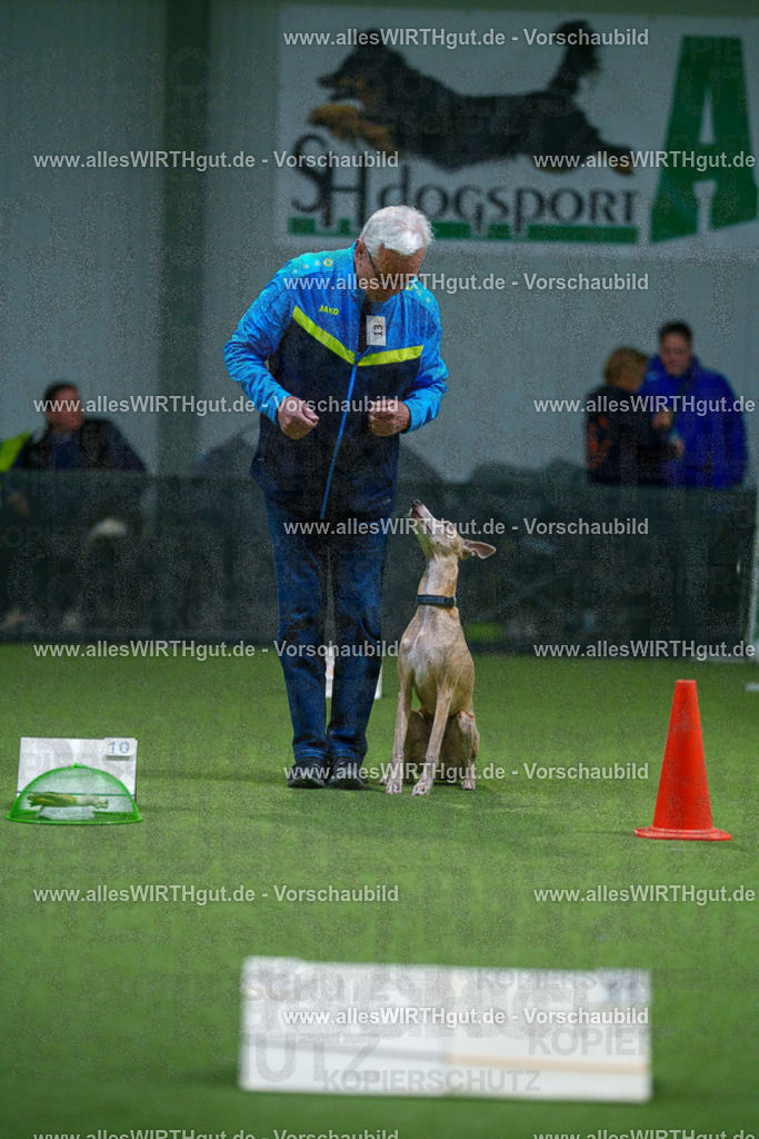 7R500355 | Professionelle Tierfotografie in Mönchengladbach von Daniel Wirth (allesWIRTHgut). Liebevolle & natürliche Bilder von Hunden & Katzen für unvergessliche Erinnerungen.