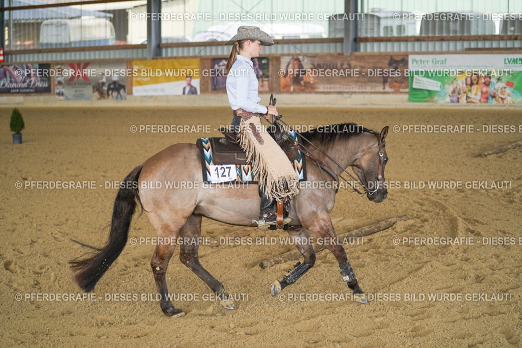 DSC02336 | Pferdegrafie