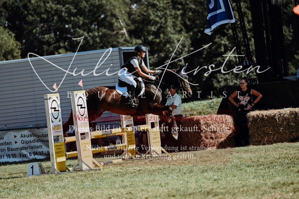 DSC_6770 | Pferde- und Turnierfotografie in Westsachsen. Pferdeportraits, Auftragszeichnungen und intuitive Kunst.