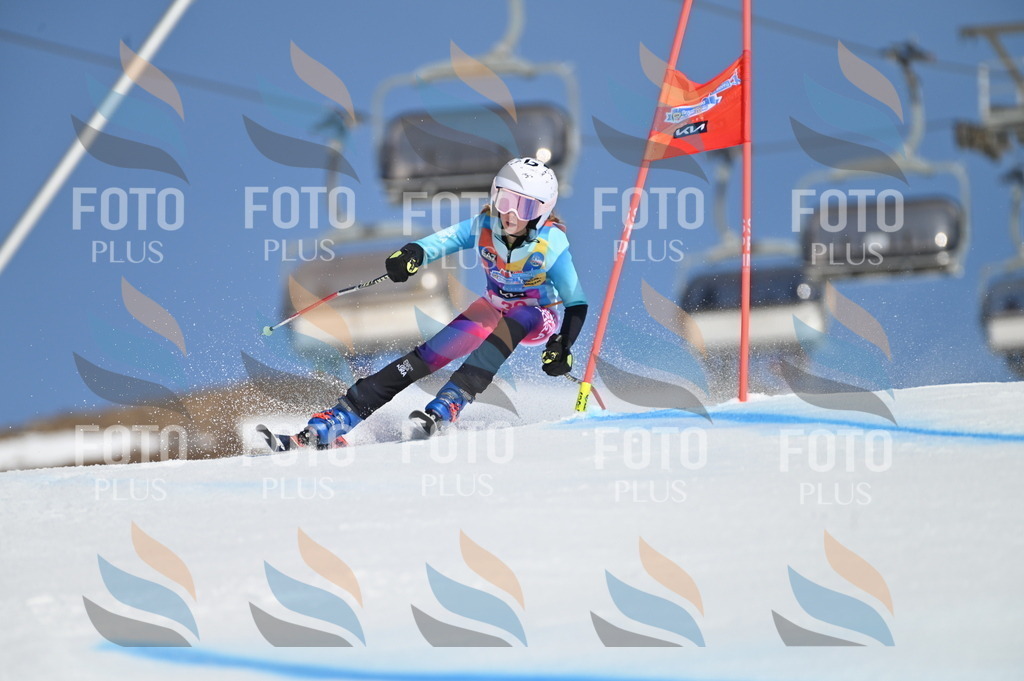 BGV_8324 | holidayphoto