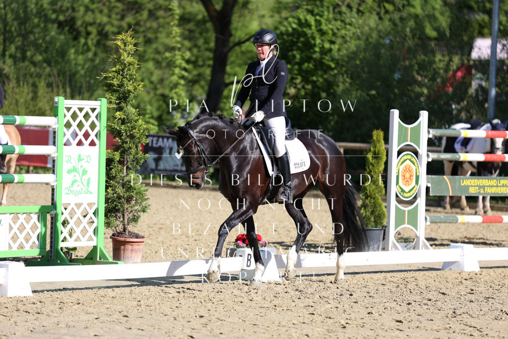 IMGT9823 | pl-fotografie