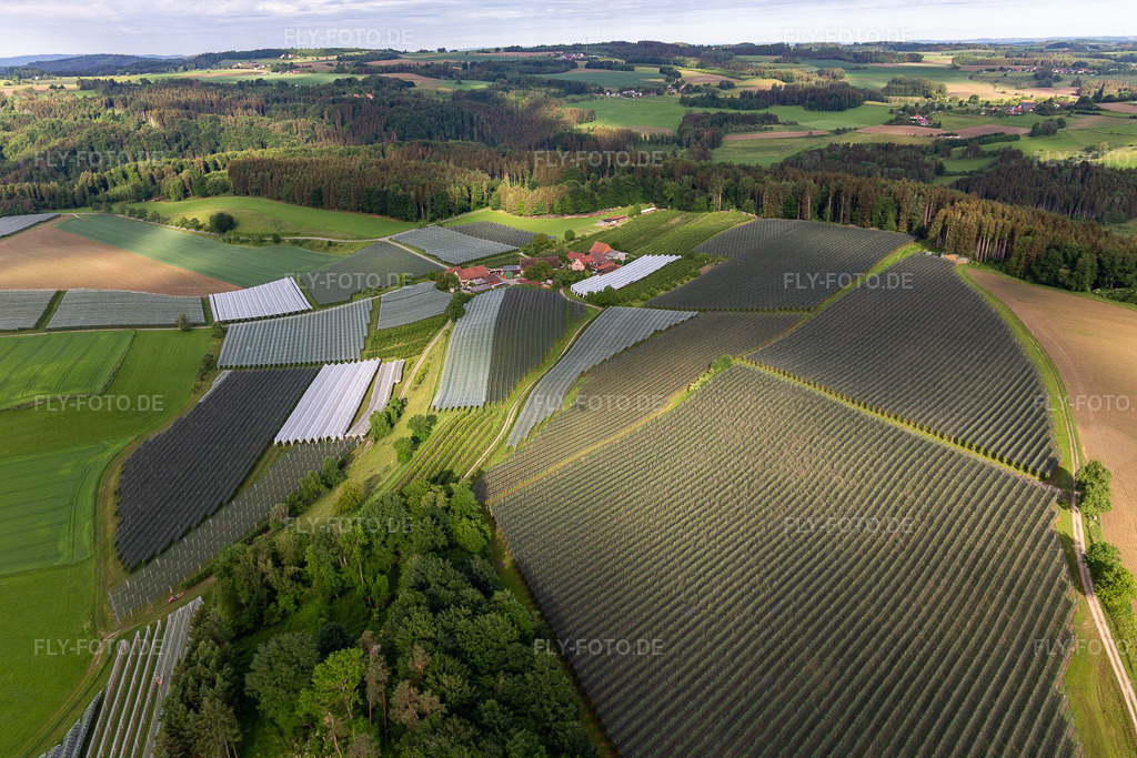 Luftbild:  im Ortsteil Altheim in Frickingen im Bundesland Baden-Württemberg in Deutschland. Foto: IMG_132049.jpg vom 26.05.2022 durch Werner Riehm/FLY-FOTO.de: Gemeinde Frickingen