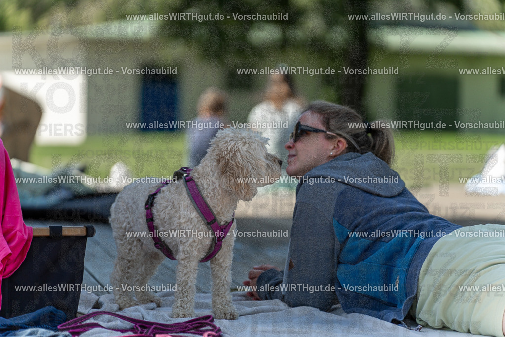 Hundeschwimmen_Volksbad_2026-allesWIRTHgut_Tierfotografie-2609061226-113650-7R500048 | Professionelle Tierfotografie in Mönchengladbach von Daniel Wirth (allesWIRTHgut). Liebevolle & natürliche Bilder von Hunden & Katzen für unvergessliche Erinnerungen.
