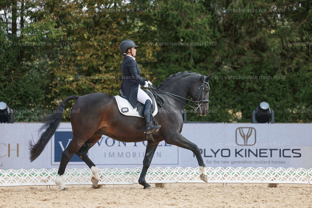 09_2-183-DRESSUR  S_  -StoibPH-5890 | working equitationturnier fotograf videograf stoibphotography marixx film working equitation deutschland reitsport turnierfotografie eventfotografie equestrian events
