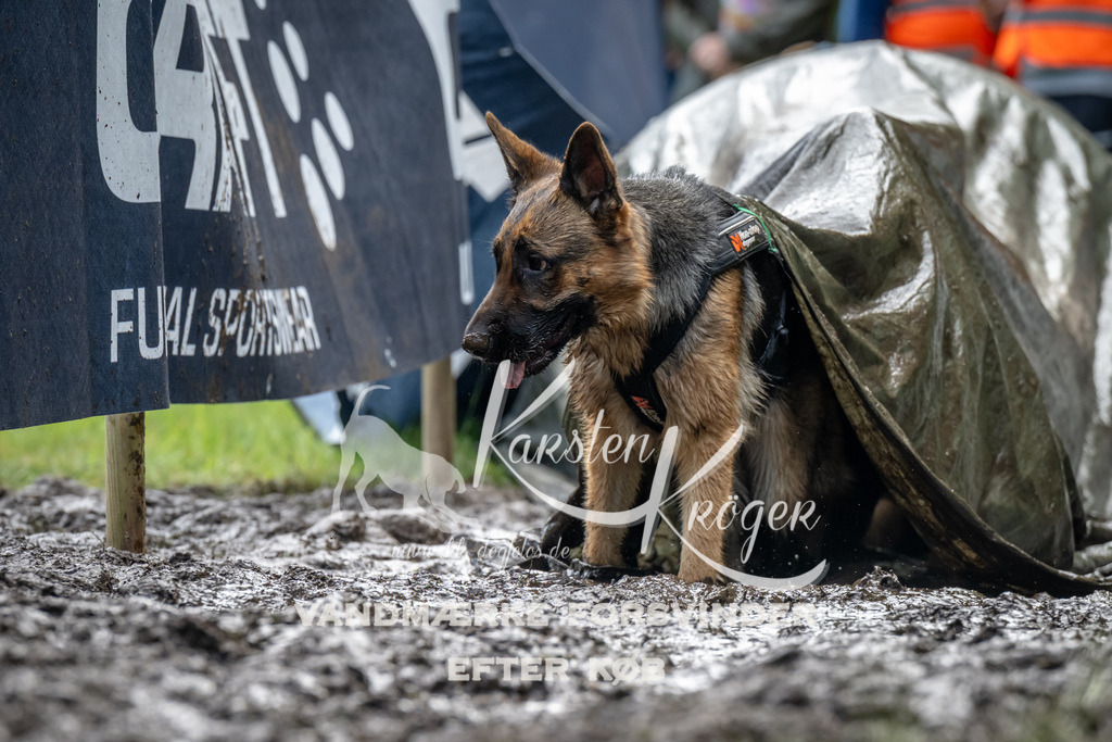 1059_ZZ93239 | kk-dogfotos