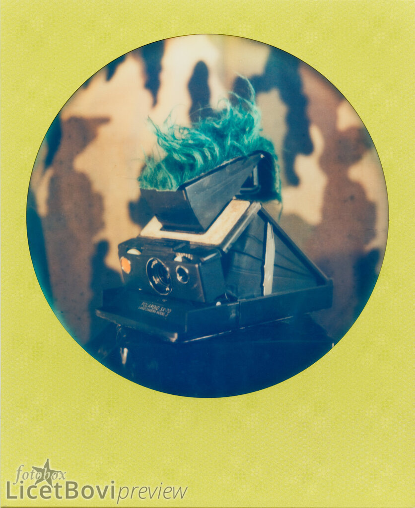 Punx not dead | Scan of Impossible (Polaroid) color Instant Film - Realisiert mit Pictrs.com