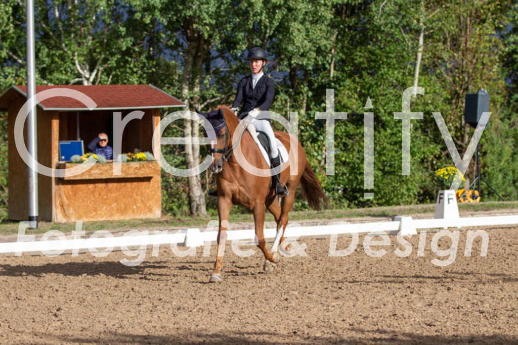 IMG_5930 | Creatify Fotografie