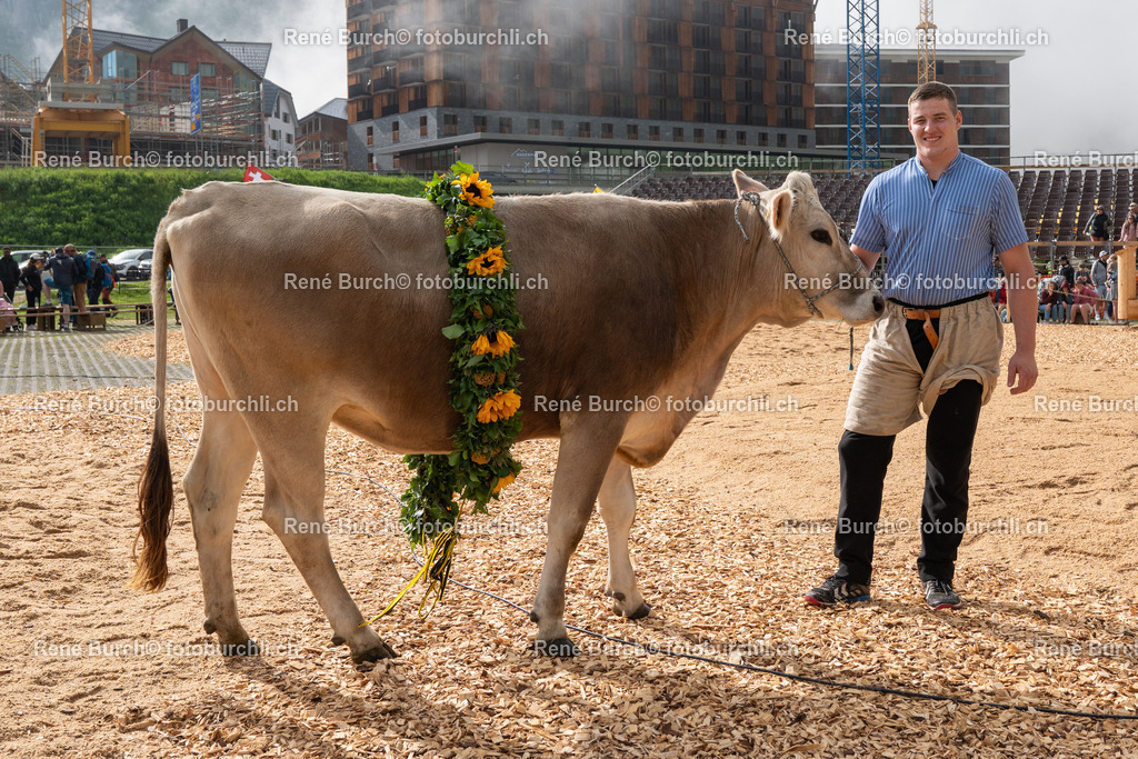 BR_07522 | René Burch leidenschaftlicher Fotograf aus Kerns in Obwalden.  Hier finden sie Sport, Landschaft und Natur Fotografie.
 - Realisiert mit Pictrs.com