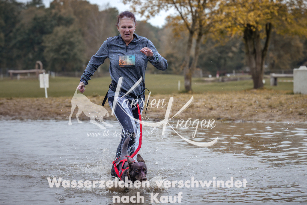 1344_ZZ94812 | kk-dogfotos
