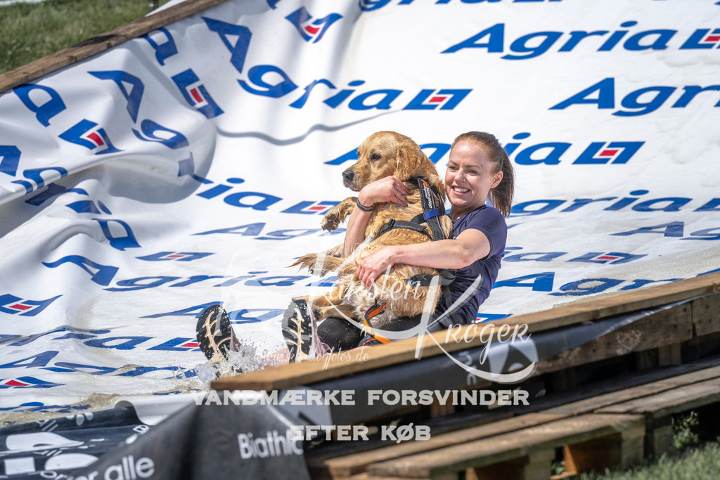 1241_ZZ98586 | kk-dogfotos