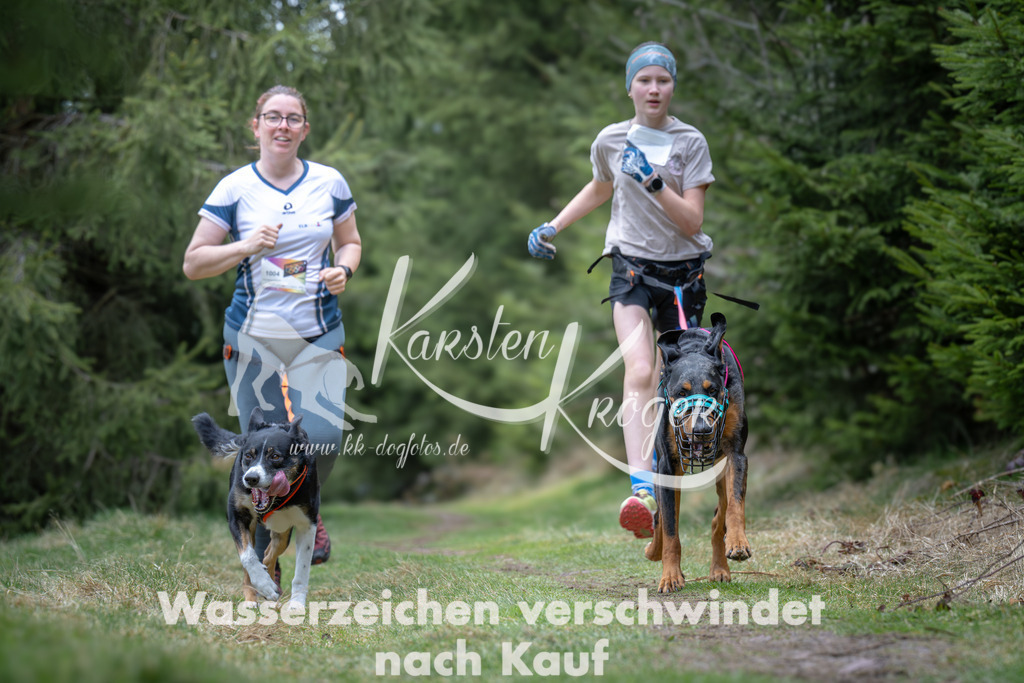 1304_ZZ93570 | kk-dogfotos
