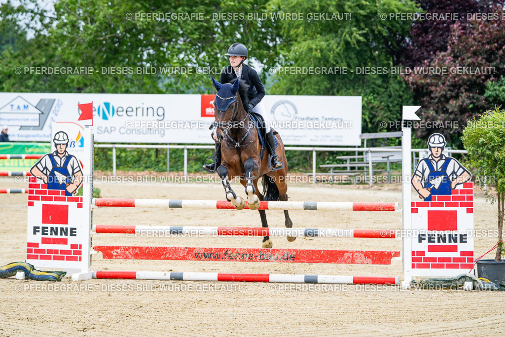 DSC03470 | Pferdegrafie