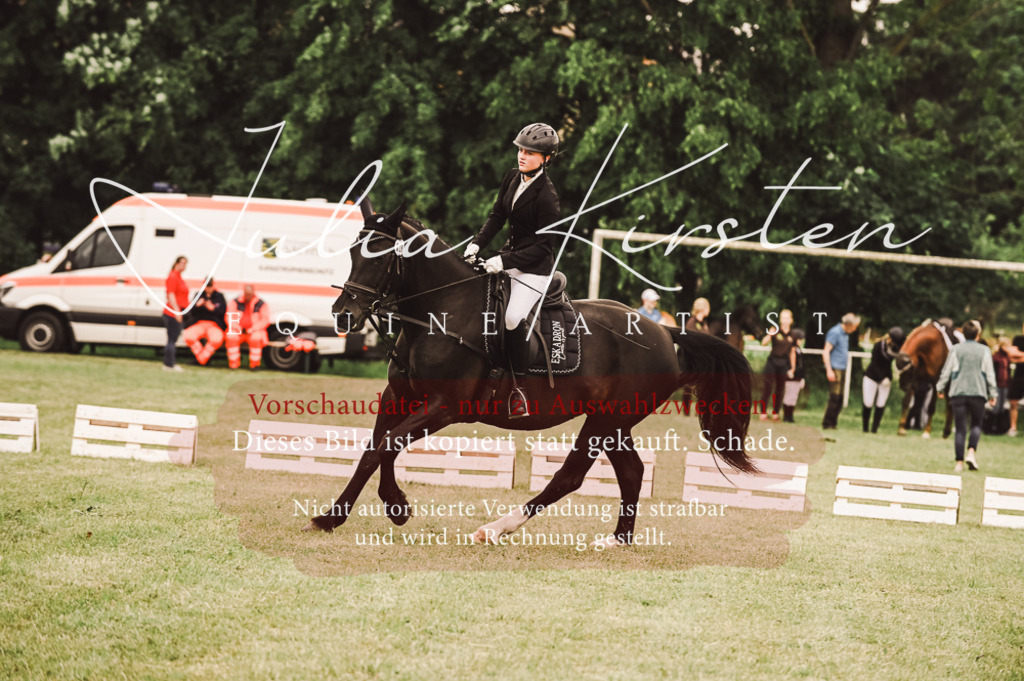 DSC_5108 | Pferde- und Turnierfotografie in Westsachsen. Pferdeportraits, Auftragszeichnungen und intuitive Kunst.