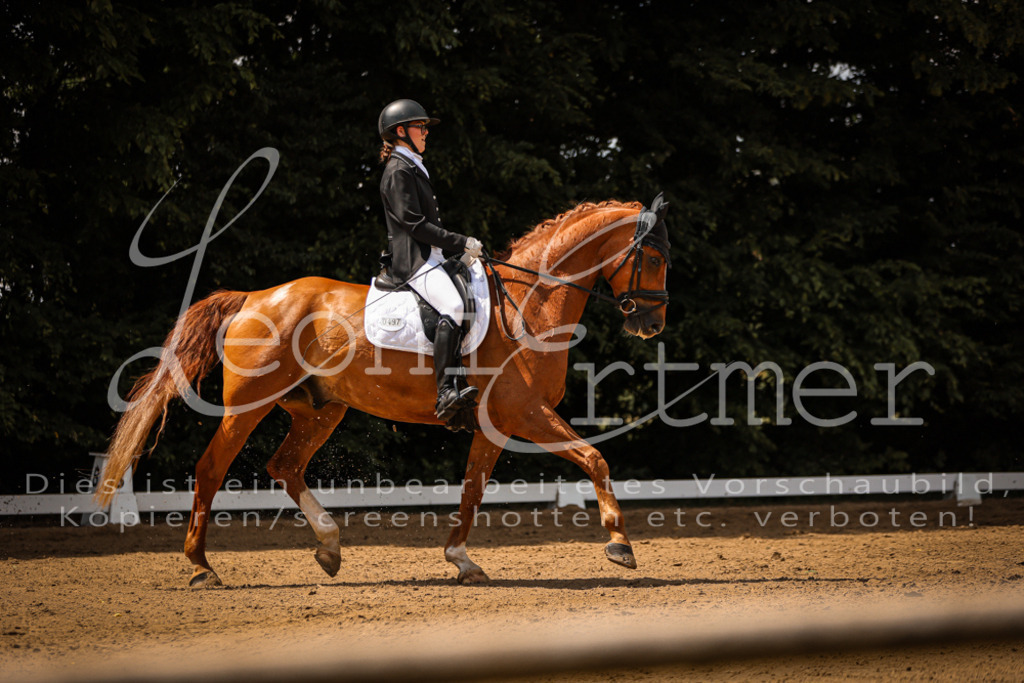 09.FrDrA200123 | Leoni Ertmer Photography - Realisiert mit Pictrs.com