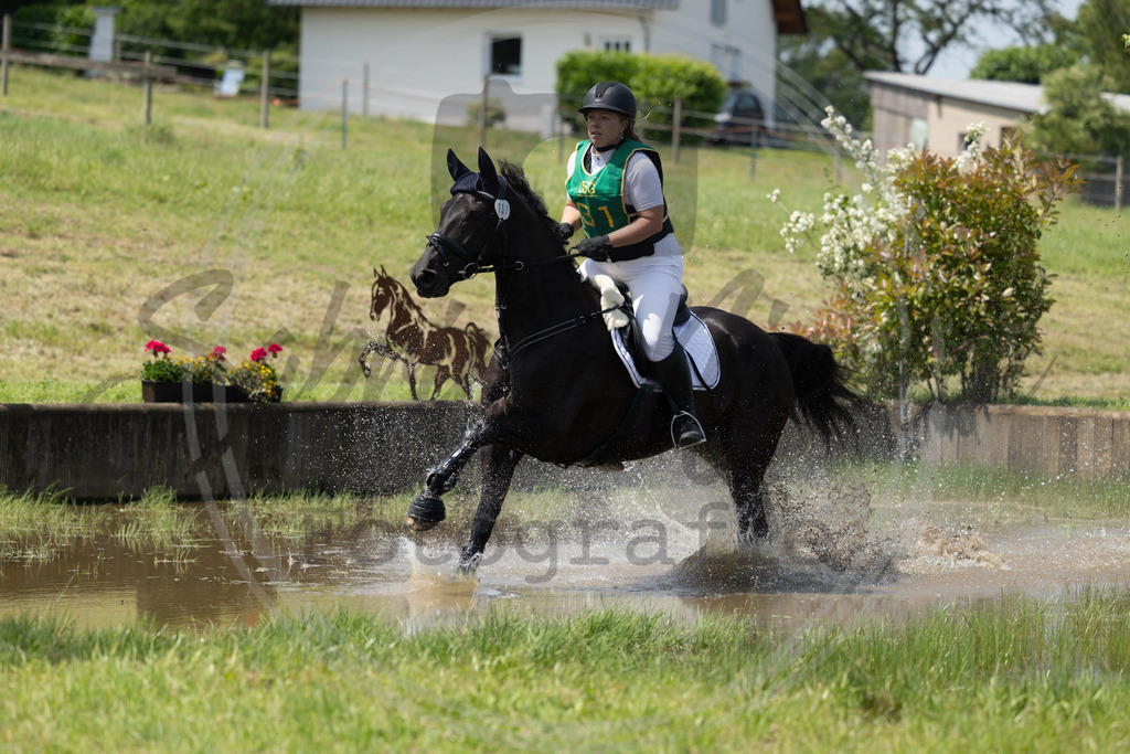 994A0845 | sabrinanicolaifotografie - Realisiert mit Pictrs.com