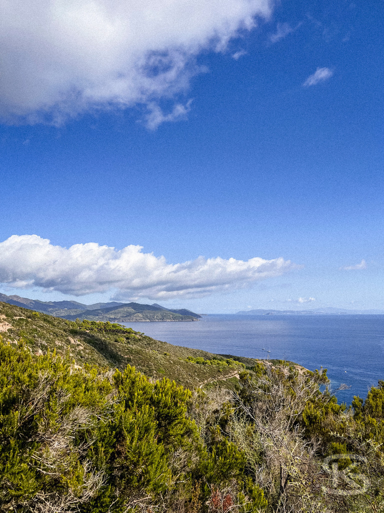 Wildes Elba: Panoramablick über die Küstenlandschaft auf das Mittelmeer – Wandbild | Panorama-Ausblick auf die hügelige Küstenlandschaft der Insel Elba mit typisch mediterraner Vegetation (Macchia) im Vordergrund und dem weiten, blauen Meer unter sommerlichen Wolkenformationen. - Realisiert mit Pictrs.com