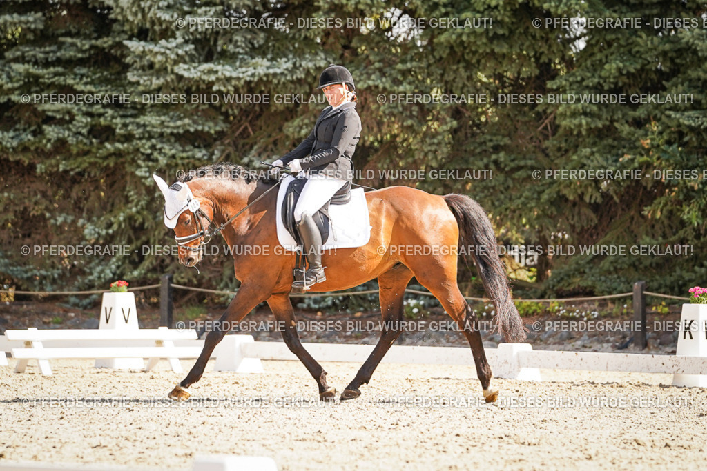 DSC00389 | Pferdegrafie