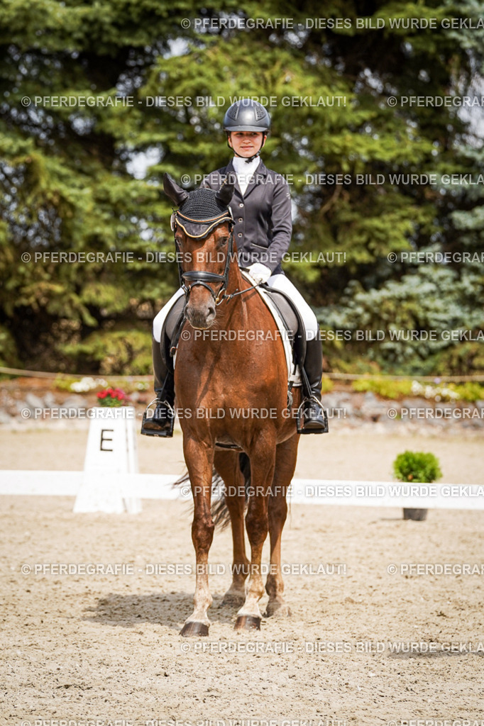 DSC04495 | Pferdegrafie