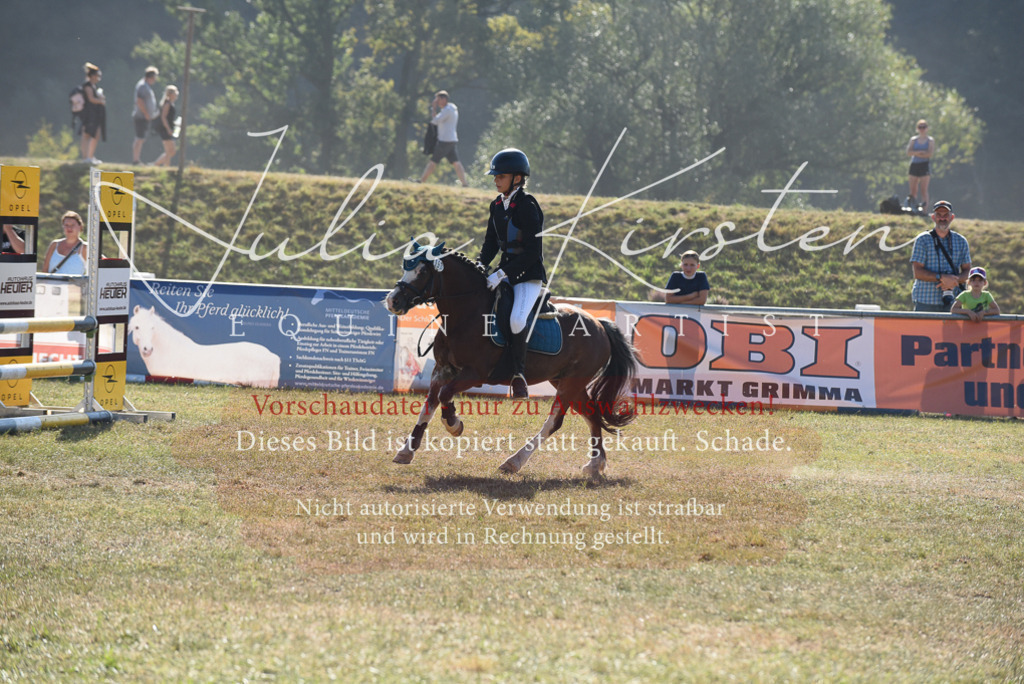 DSC_5942 | Pferde- und Turnierfotografie in Westsachsen. Pferdeportraits, Auftragszeichnungen und intuitive Kunst.
