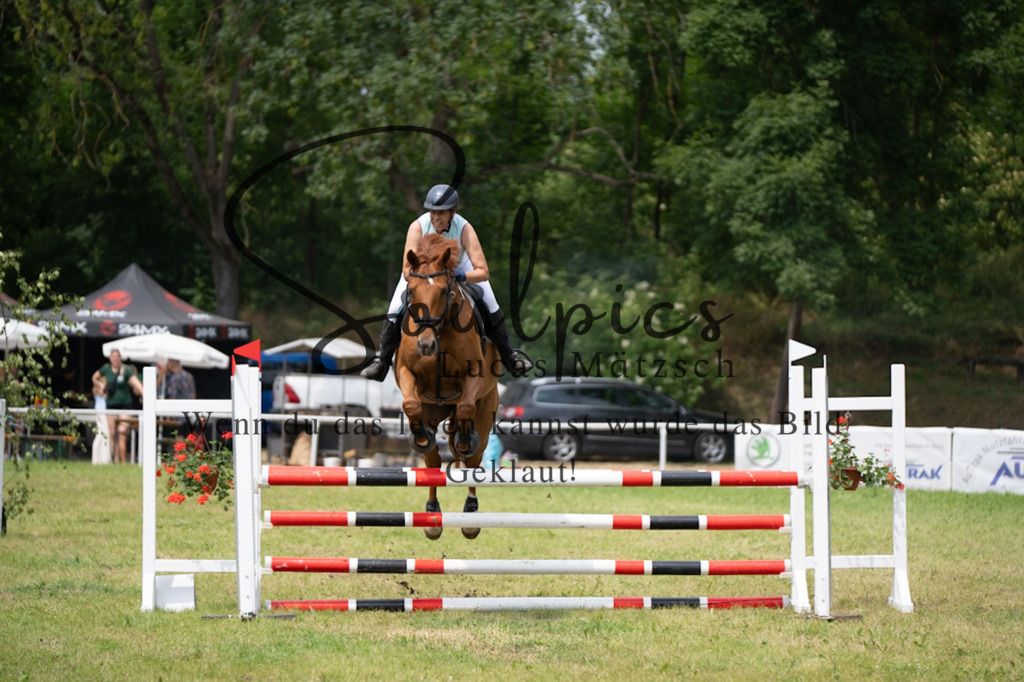 A7V06951 | Pferdefotograf