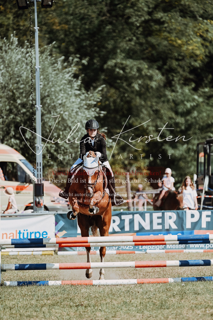 DSC_9588 | Pferde- und Turnierfotografie in Westsachsen. Pferdeportraits, Auftragszeichnungen und intuitive Kunst.