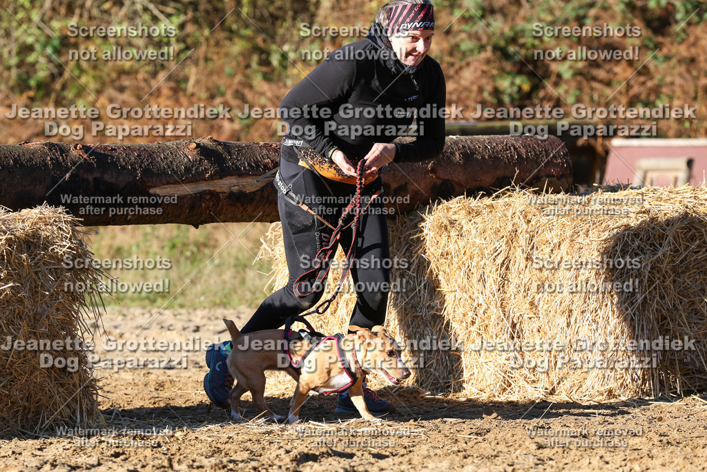 Dog Paparazzi - Strongdog 10-25-1511 | Dog Paparazzi Jeanette Grottendiek Fotografie & Videografie - Realisiert mit Pictrs.com