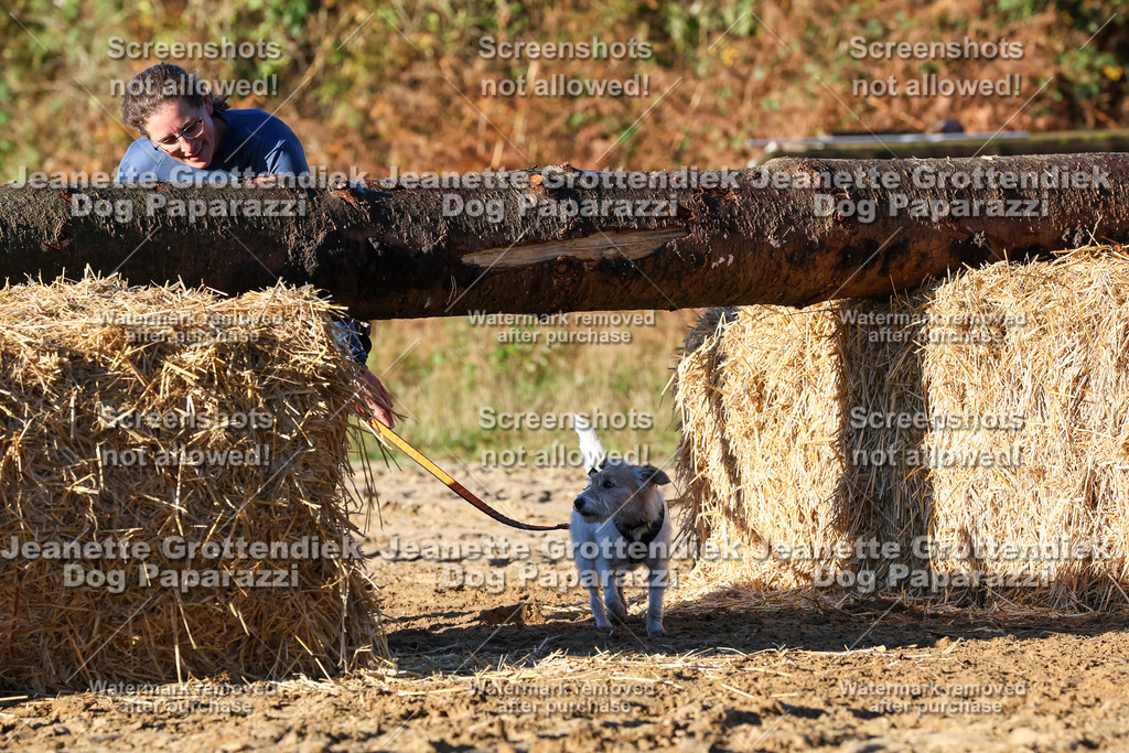 Dog Paparazzi - Strongdog 10-25-1248 | Dog Paparazzi Jeanette Grottendiek Fotografie & Videografie - Realisiert mit Pictrs.com