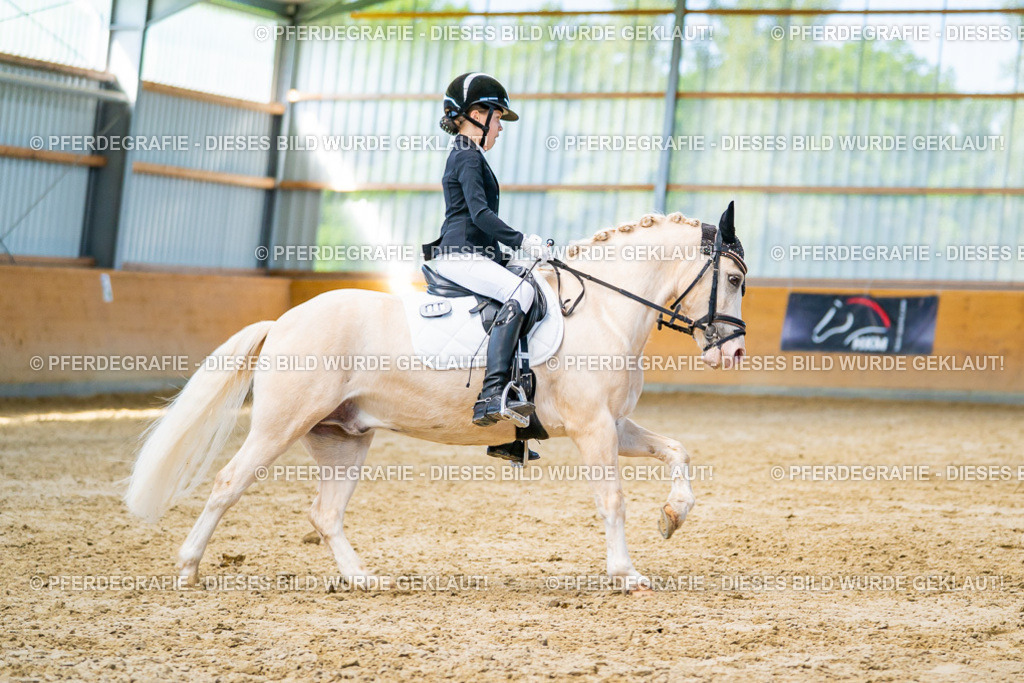 DSC07441 | Pferdegrafie