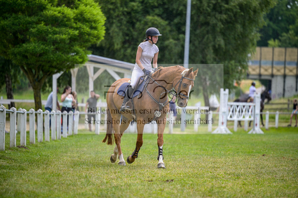 Reitturnier Voxtrup | Entdecke hochwertige Reitturnierfotos von Foto Oger. Professionell, emotional und authentisch – jetzt Lieblingsmomente im Shop bestellen.Deutschlandweite Turnierfotografie. - Realisiert mit Pictrs.com