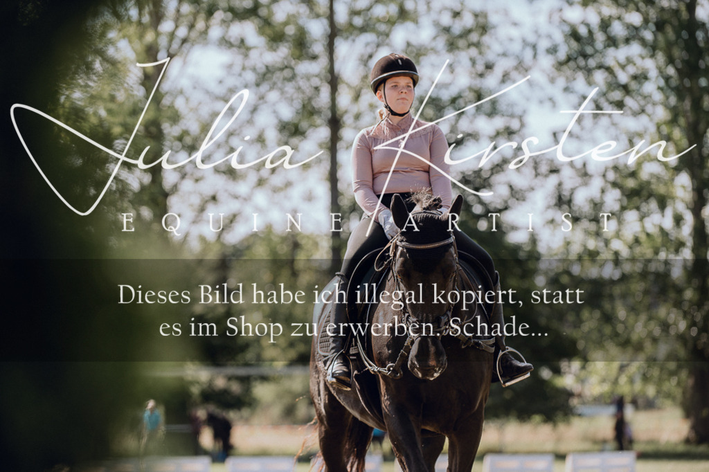 DSC_7130 | Pferde- und Turnierfotografie in Westsachsen. Pferdeportraits, Auftragszeichnungen und intuitive Kunst.