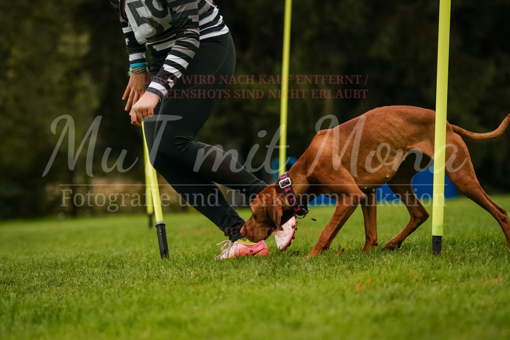 20251005_THS_Turnier-540 | MuT (Mensch und Tier) mit Mona - Fotografie und Tierkommunikation - Realisiert mit Pictrs.com