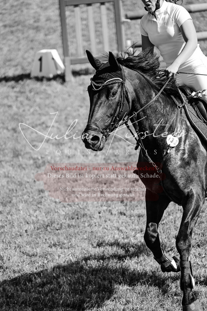 DSC_1995 | Pferde- und Turnierfotografie in Westsachsen. Pferdeportraits, Auftragszeichnungen und intuitive Kunst.