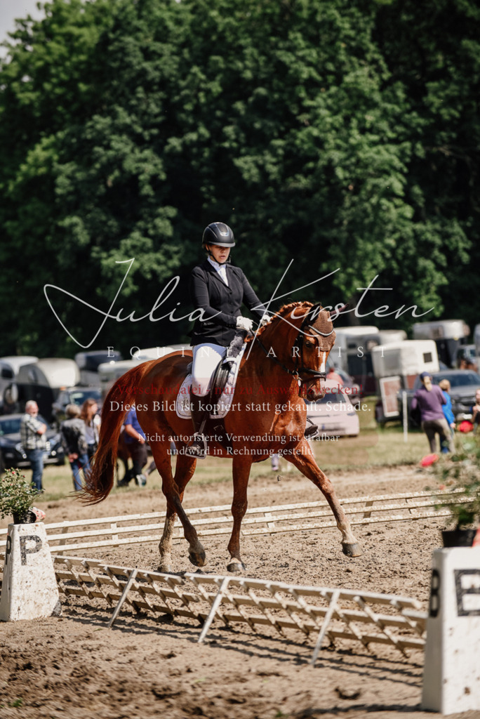 DSC_0301 | Pferde- und Turnierfotografie in Westsachsen. Pferdeportraits, Auftragszeichnungen und intuitive Kunst.