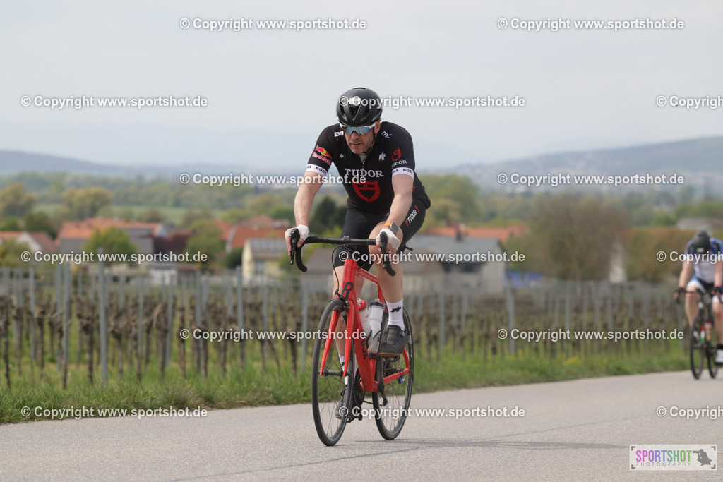368A5426 | Neusiedlersee Radmarathon 2026@sportshot_your_pictrs #yourpictures#roadtowm2029 #nrm #neusiedlerseeradmarathon #neusiedlersee #neusiedlerseetourismus #burgenland #mörbisch #nrm26 #burgenlandtourismus #voglundco #poweredbyburgenlandtourismus #radsport #rad #marathon #ucigranfondo #visitburgenland #ucigranfondoworldseries