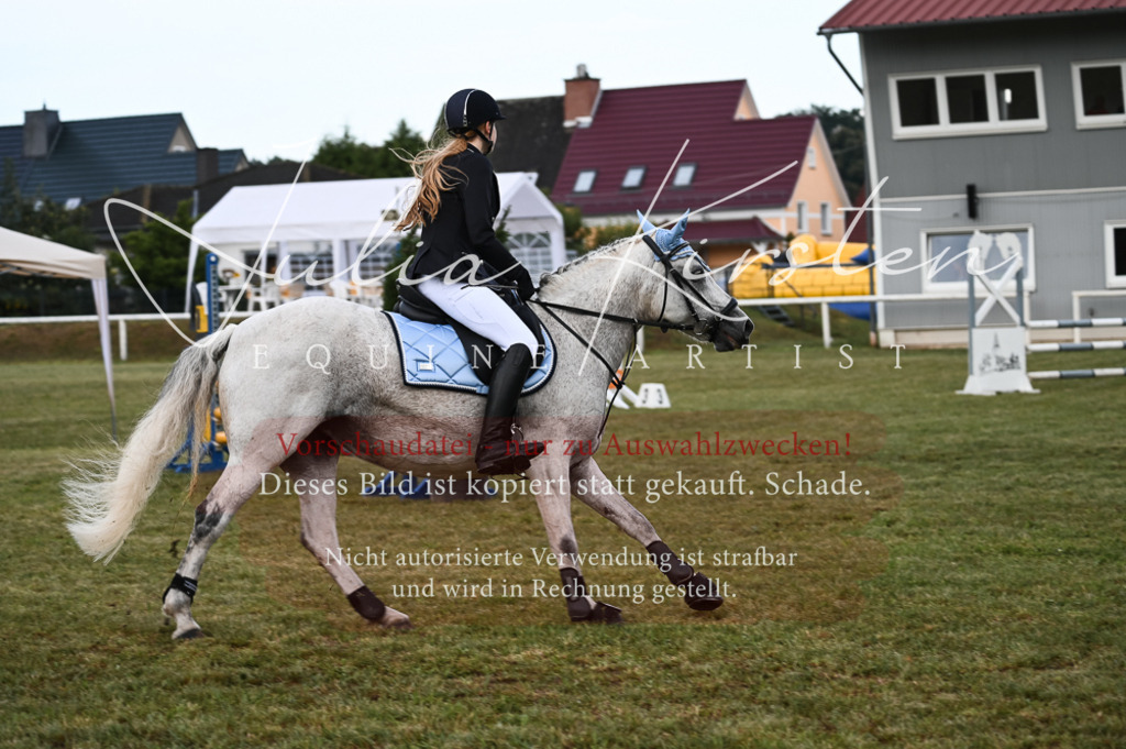 DSC_5522 | Pferde- und Turnierfotografie in Westsachsen. Pferdeportraits, Auftragszeichnungen und intuitive Kunst.