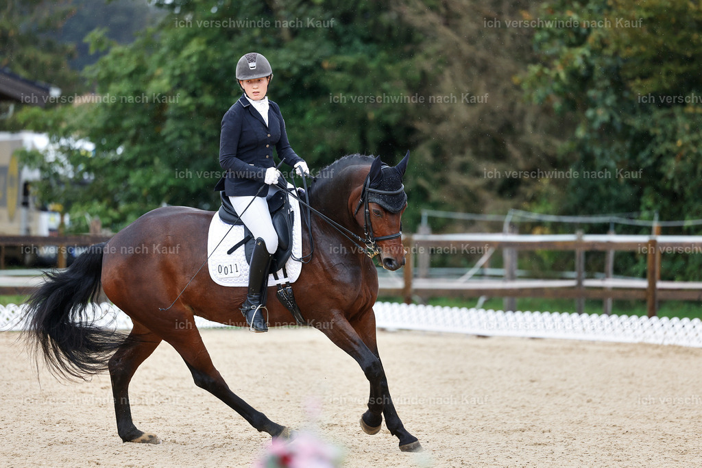 05-011-DRESSUR M_  -StoibPH-4895 | working equitationturnier fotograf videograf stoibphotography marixx film working equitation deutschland reitsport turnierfotografie eventfotografie equestrian events